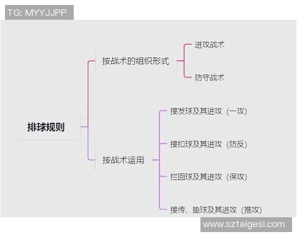 西安排球队中路突破战术解析与深度剖析